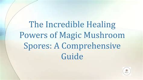 Where to get magic musrhoom spores